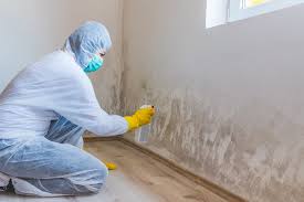 Reliable Laverne, OK Mold Inspection Solutions